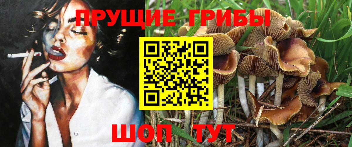 Усинск  Галлюциногенные грибы ЛСД  Псилоцибиновые грибы GOLDEN TEACHER  Вход с VPN 